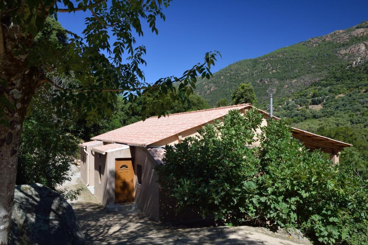 Вилла Casa Del Torrente Porto  Номер фото